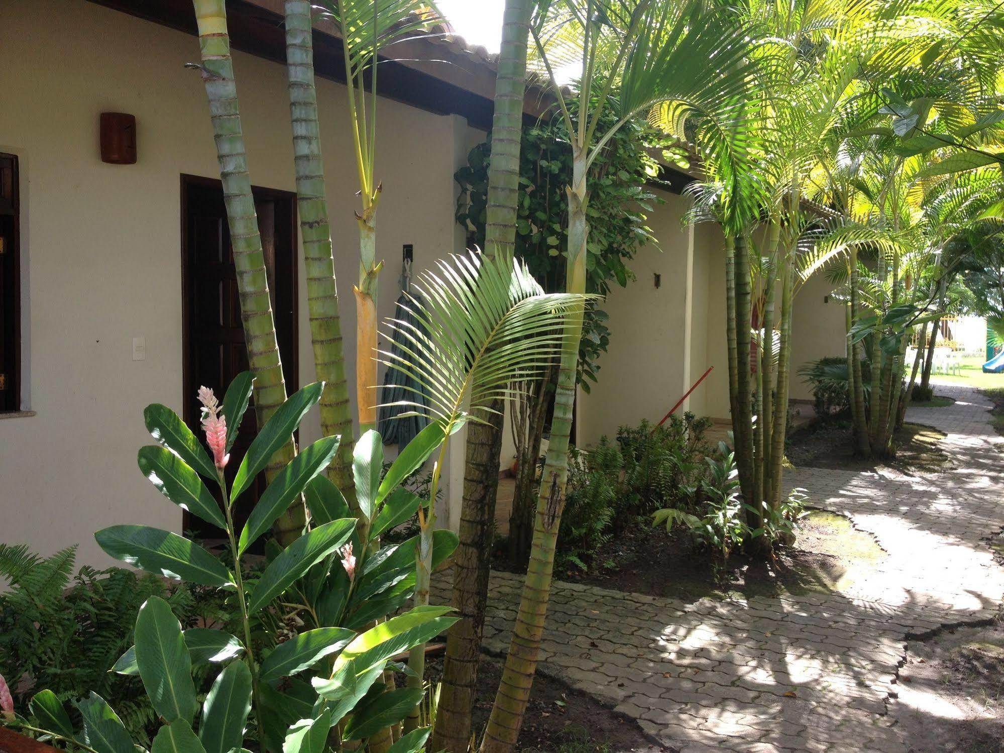 איטפריקה טאון Pousada Tropicalia מראה חיצוני תמונה
